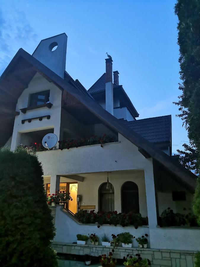 Bed and Breakfast Castelul De Smarald à Pangaracior Extérieur photo