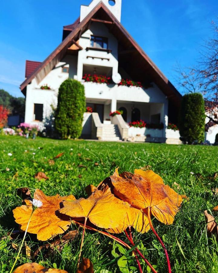 Bed and Breakfast Castelul De Smarald à Pangaracior Extérieur photo