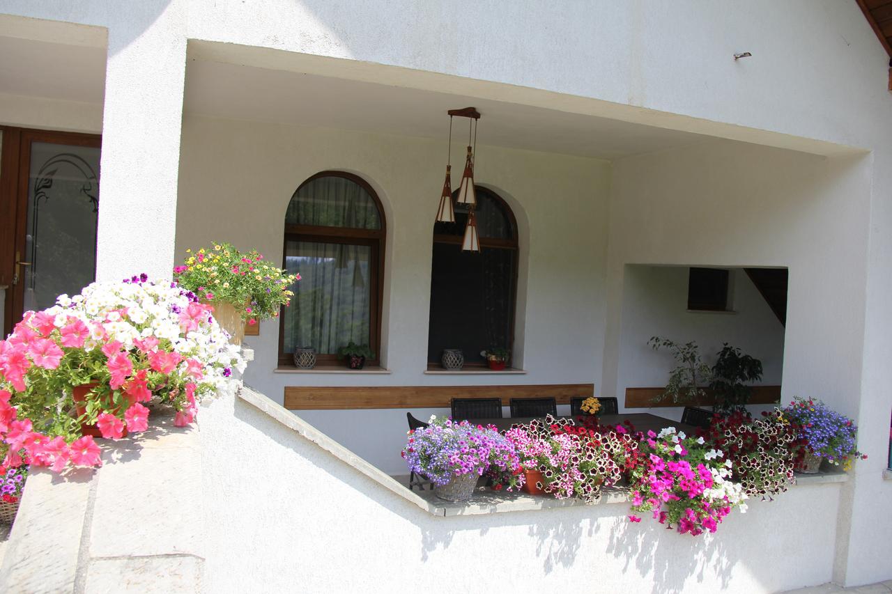 Bed and Breakfast Castelul De Smarald à Pangaracior Extérieur photo